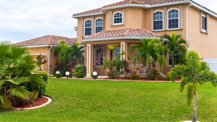 Florida tree and shrub care services, florida lawn and landscape, palm trees